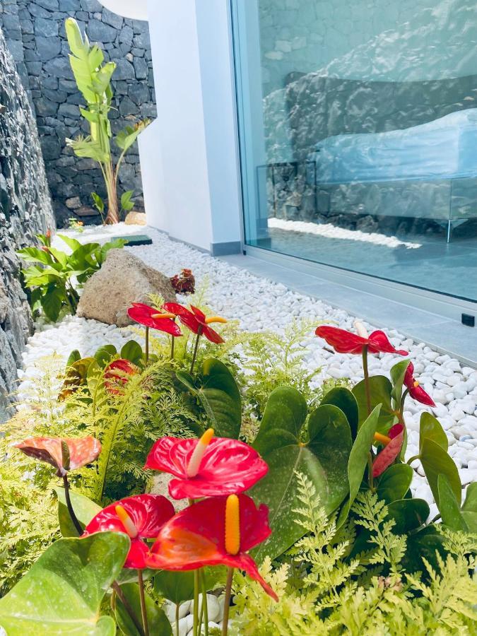 Rocavista - Villa With Heated Rooftop Pool And Amazing Ocean View Costa Adeje  Ngoại thất bức ảnh